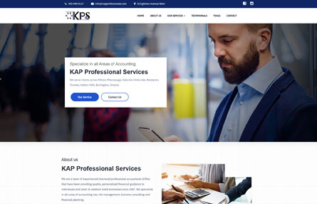 KAP Professional Services
